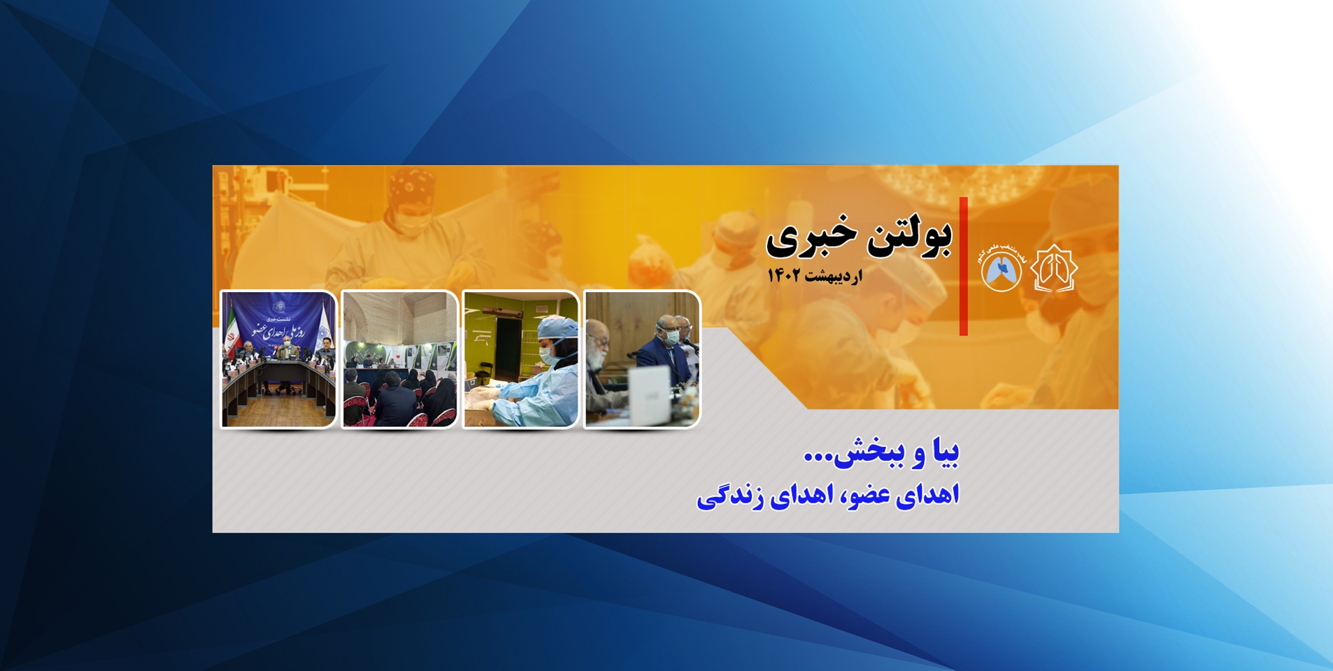 بولتن
